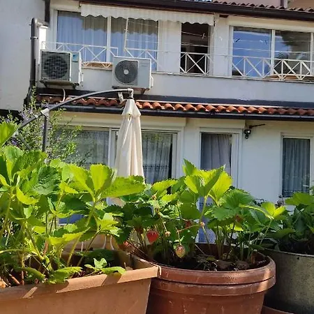 In Porec/istrien 33353 Apartment *