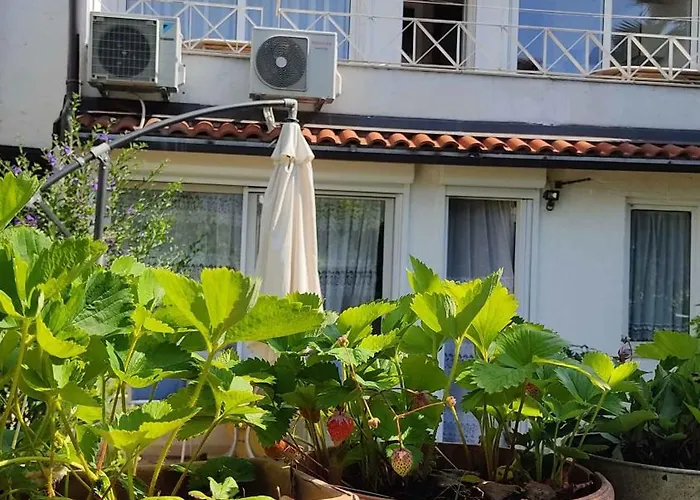 In - Istrien 33353 Appartement